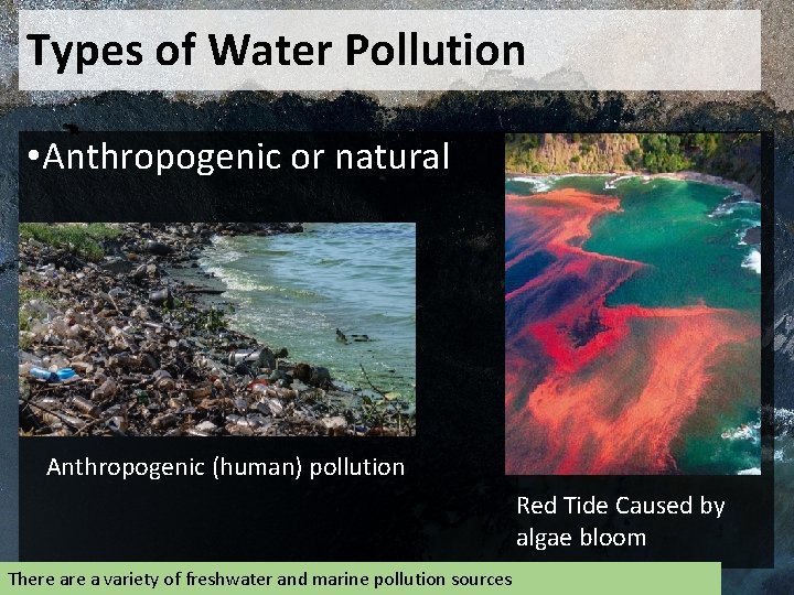Types of Water Pollution • Anthropogenic or natural Anthropogenic (human) pollution Red Tide Caused