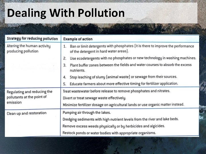 Dealing With Pollution 