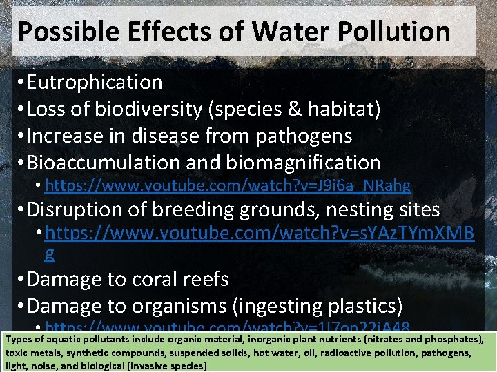 Possible Effects of Water Pollution • Eutrophication • Loss of biodiversity (species & habitat)
