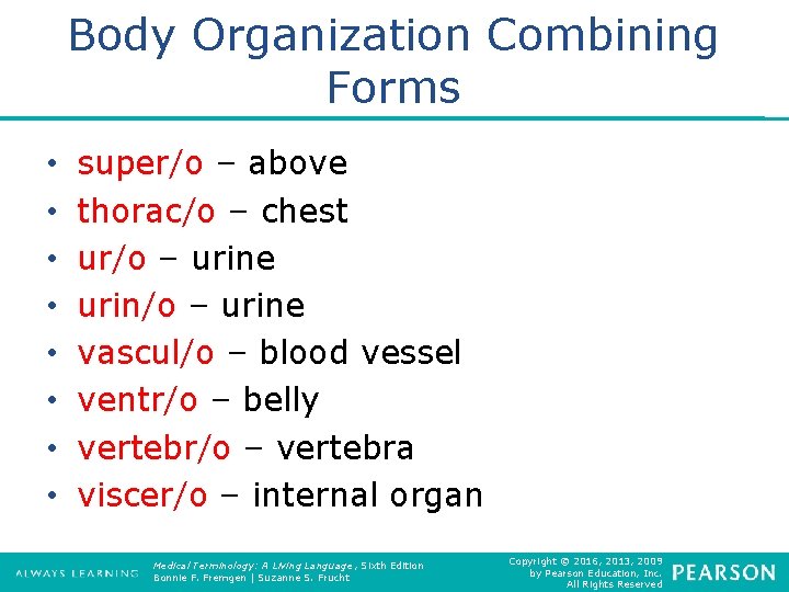 Body Organization Combining Forms • • super/o – above thorac/o – chest ur/o –