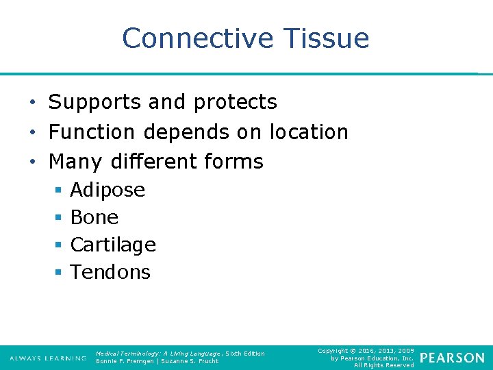 Connective Tissue • Supports and protects • Function depends on location • Many different