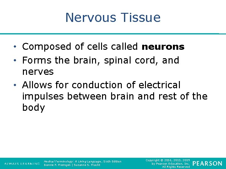 Nervous Tissue • Composed of cells called neurons • Forms the brain, spinal cord,