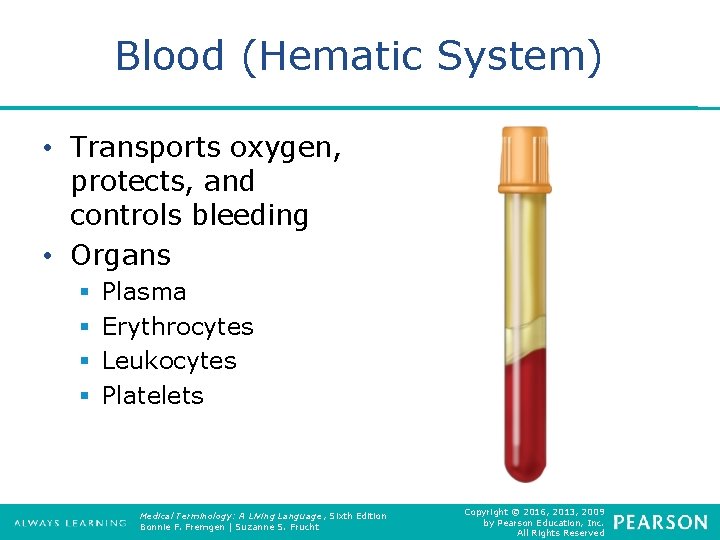Blood (Hematic System) • Transports oxygen, protects, and controls bleeding • Organs § §