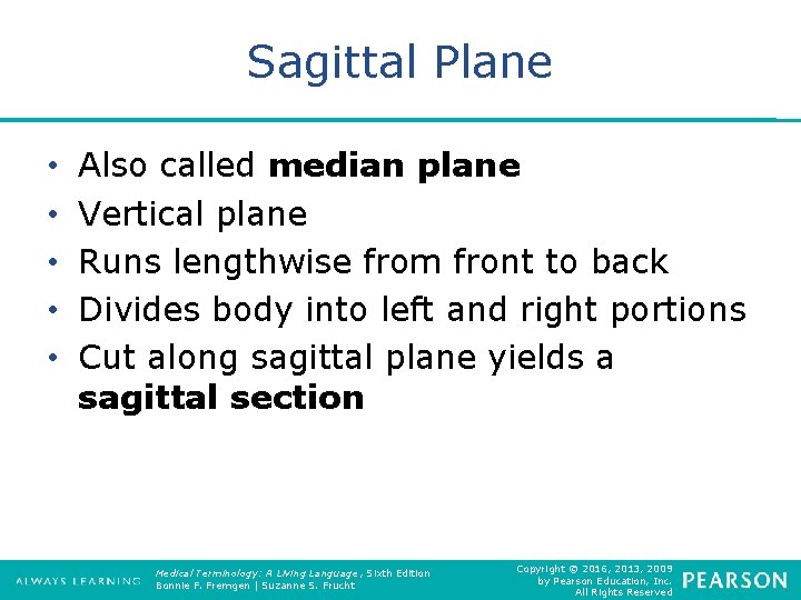 Sagittal Plane • • • Also called median plane Vertical plane Runs lengthwise from
