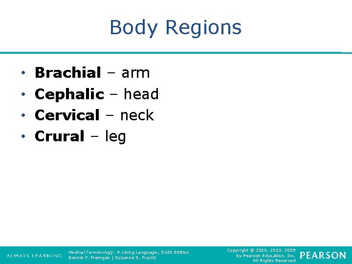 Body Regions • • Brachial – arm Cephalic – head Cervical – neck Crural