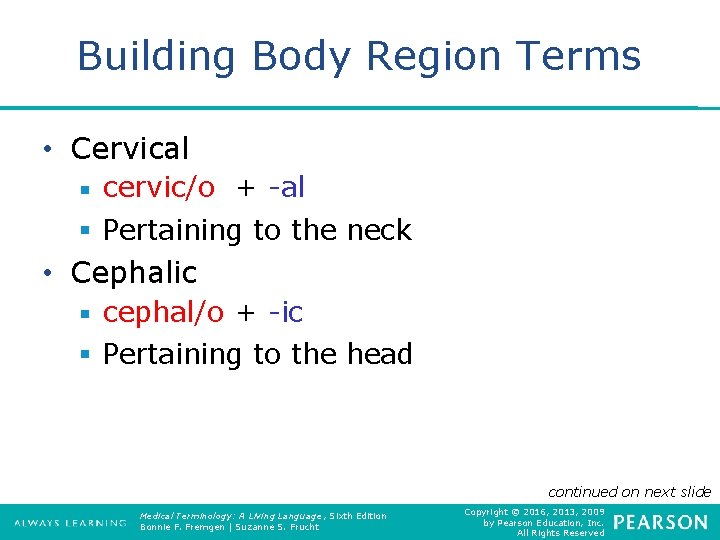 Building Body Region Terms • Cervical § cervic/o + -al § Pertaining to the