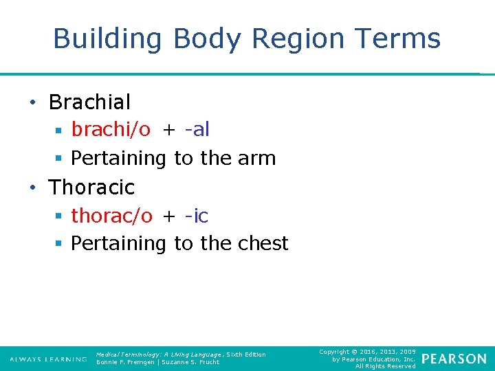Building Body Region Terms • Brachial § brachi/o + -al § Pertaining to the