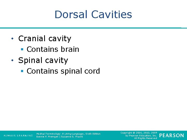 Dorsal Cavities • Cranial cavity § Contains brain • Spinal cavity § Contains spinal