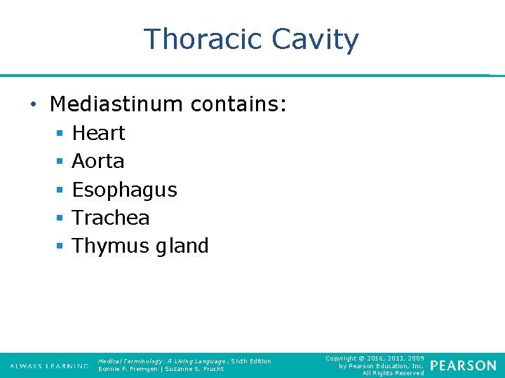 Thoracic Cavity • Mediastinum contains: § § § Heart Aorta Esophagus Trachea Thymus gland