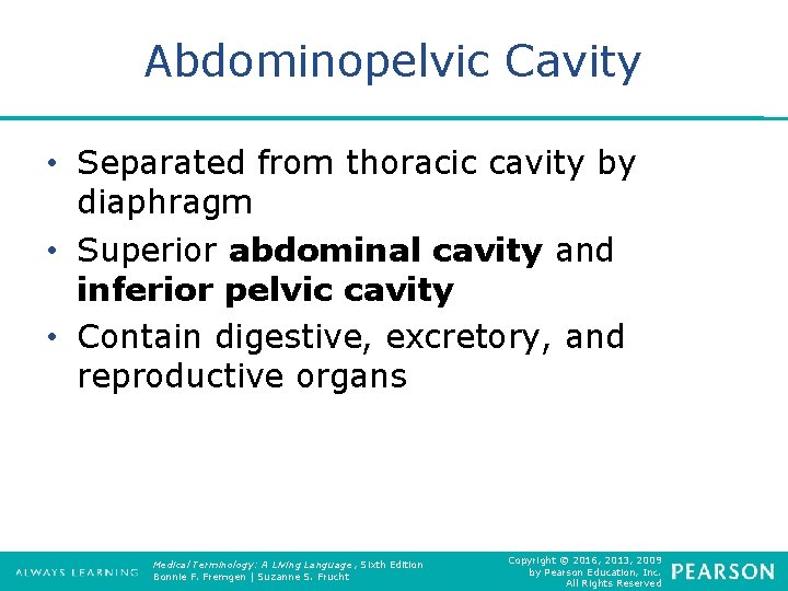 Abdominopelvic Cavity • Separated from thoracic cavity by diaphragm • Superior abdominal cavity and