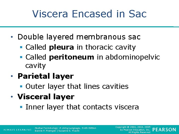 Viscera Encased in Sac • Double layered membranous sac § Called pleura in thoracic