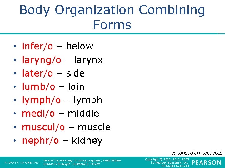 Body Organization Combining Forms • • infer/o – below laryng/o – larynx later/o –