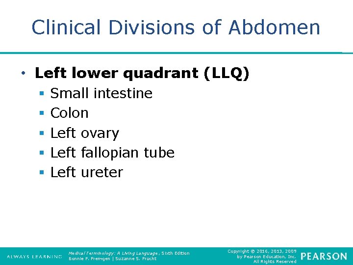 Clinical Divisions of Abdomen • Left lower quadrant (LLQ) § § § Small intestine