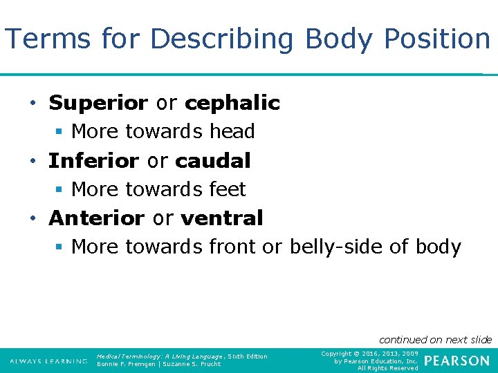 Terms for Describing Body Position • Superior or cephalic § More towards head •