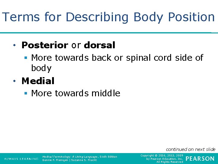 Terms for Describing Body Position • Posterior or dorsal § More towards back or