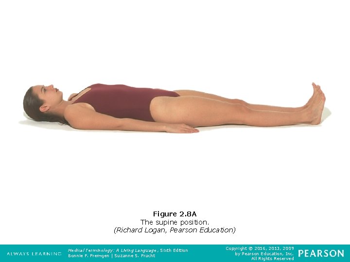 Figure 2. 8 A The supine position. (Richard Logan, Pearson Education) Medical Terminology: A