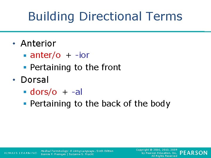 Building Directional Terms • Anterior § anter/o + -ior § Pertaining to the front