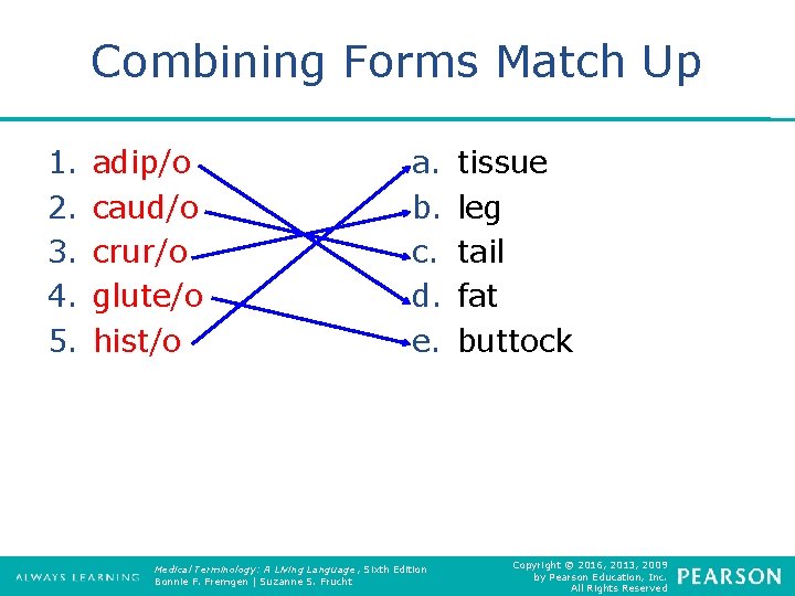 Combining Forms Match Up 1. 2. 3. 4. 5. adip/o caud/o crur/o glute/o hist/o