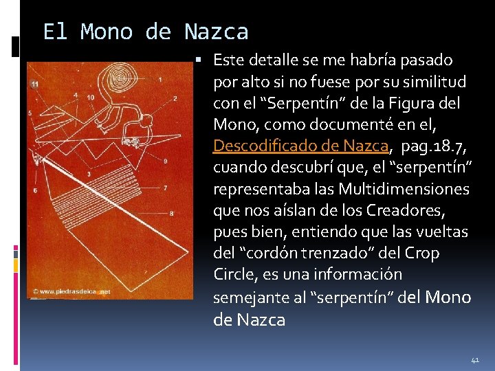 El Mono de Nazca Este detalle se me habría pasado por alto si no