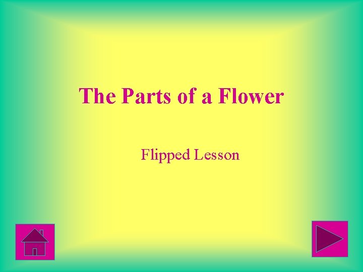 The Parts of a Flower Flipped Lesson 