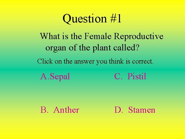 Question #1 What is the Female Reproductive organ of the plant called? Click on