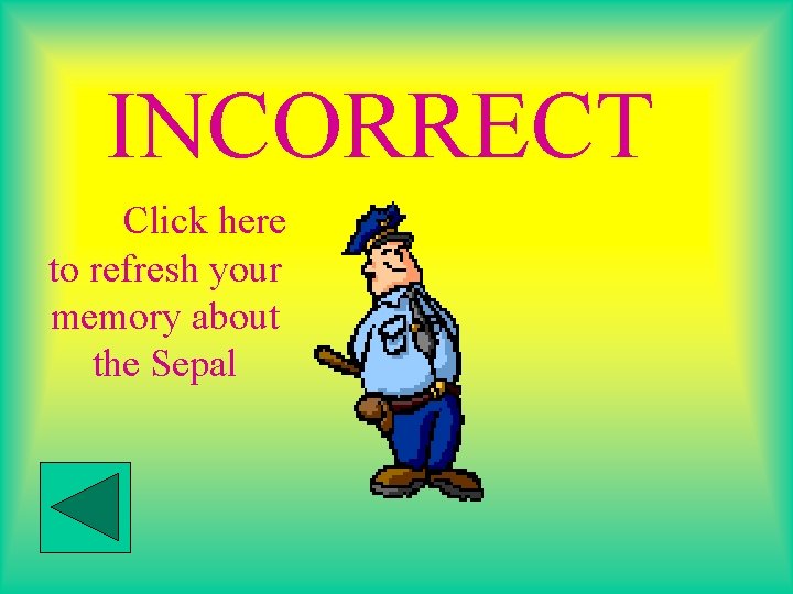 INCORRECT Click here ! to refresh your memory about the Sepal 