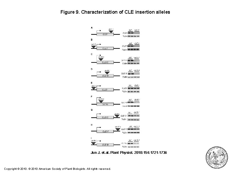 Comprehensive Analysis of Polypeptide Signaling Gene Expression and