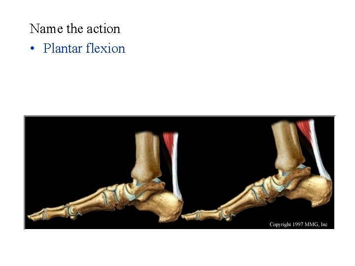 Name the action • Plantar flexion 