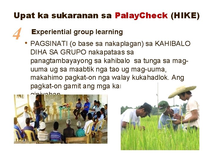 Upat ka sukaranan sa Palay. Check (HIKE) 4 • Experiential group learning PAGSINATI (o