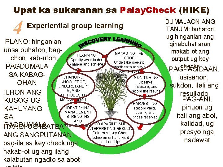 Upat ka sukaranan sa Palay. Check (HIKE) 4 Experiential group learning PLANO: hinganlan unsa