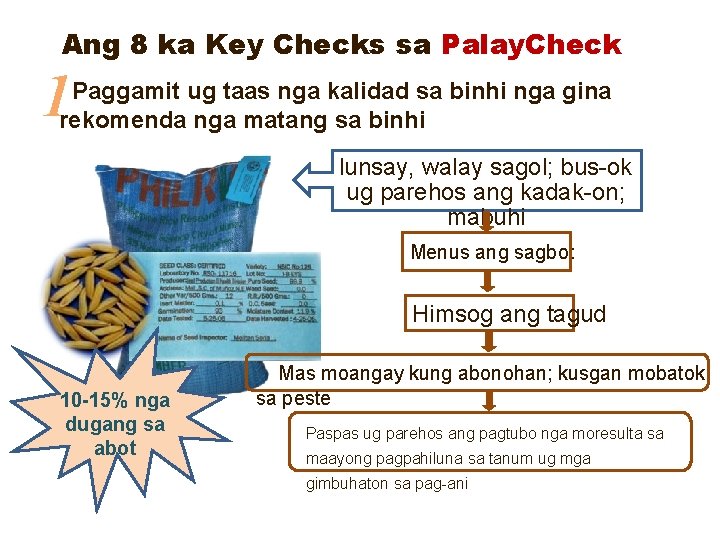 Ang 8 ka Key Checks sa Palay. Check 1 Paggamit ug taas nga kalidad