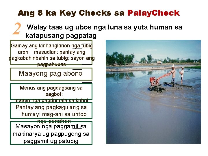 Ang 8 ka Key Checks sa Palay. Check 2 Walay taas ug ubos nga