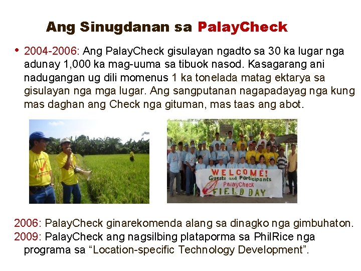 Ang Sinugdanan sa Palay. Check • 2004 -2006: Ang Palay. Check gisulayan ngadto sa