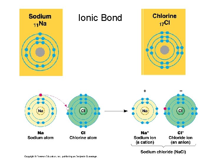 Ionic Bond 