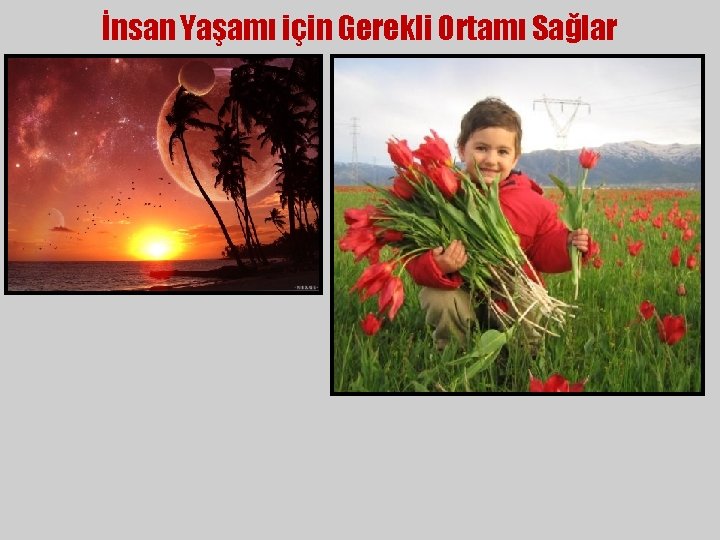 İnsan Yaşamı için Gerekli Ortamı Sağlar 