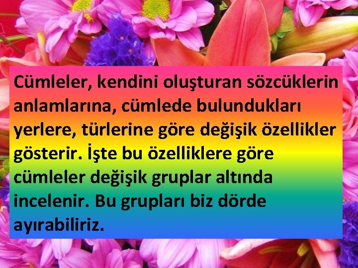 Cümleler, kendini oluşturan sözcüklerin anlamlarına, cümlede bulundukları yerlere, türlerine göre değişik özellikler gösterir. İşte