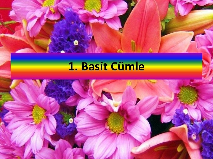 1. Basit Cümle 