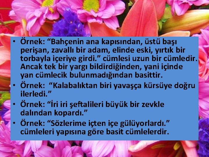  • Örnek: “Bahçenin ana kapısından, üstü başı perişan, zavallı bir adam, elinde eski,