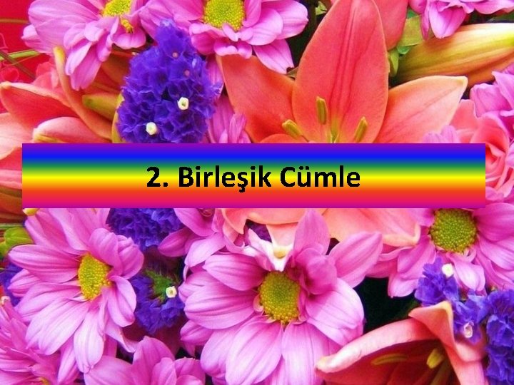 2. Birleşik Cümle 