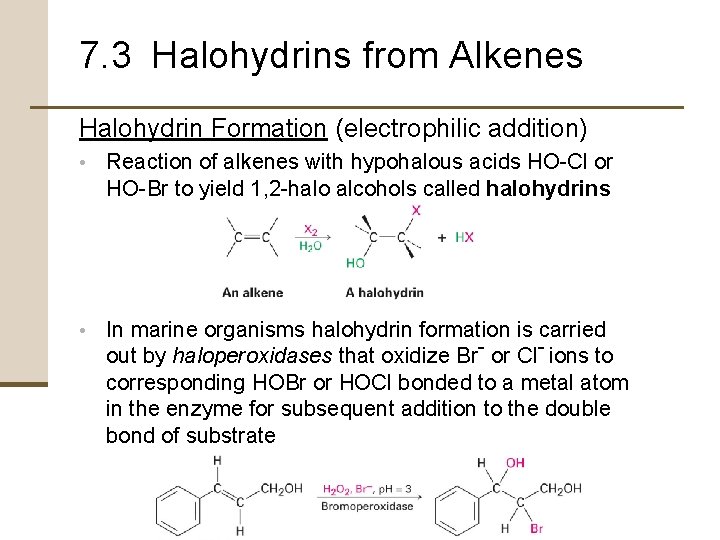 7. 3 Halohydrins from Alkenes Halohydrin Formation (electrophilic addition) • Reaction of alkenes with