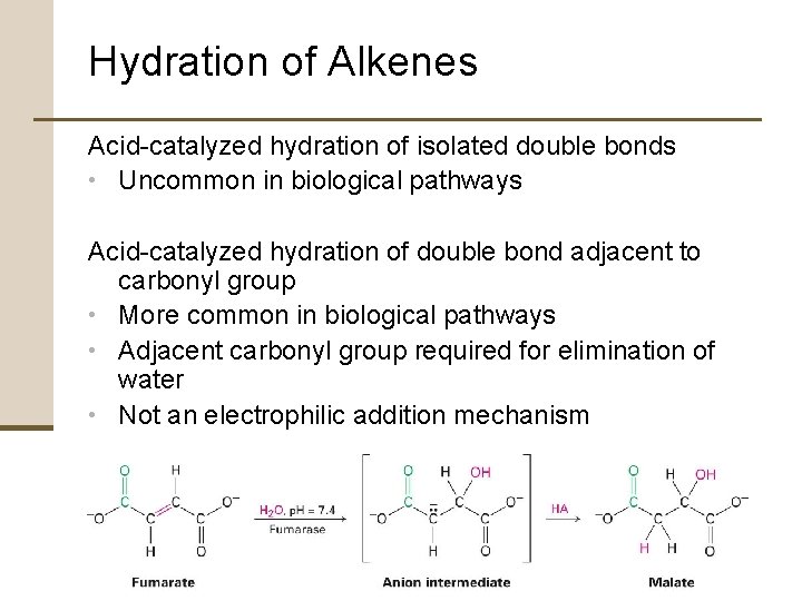 Hydration of Alkenes Acid-catalyzed hydration of isolated double bonds • Uncommon in biological pathways