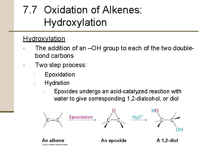 7. 7 Oxidation of Alkenes: Hydroxylation • • The addition of an –OH group