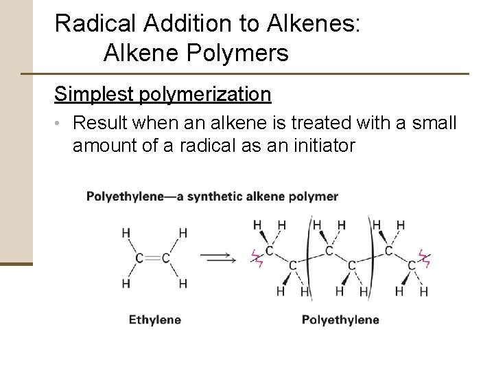 Radical Addition to Alkenes: Alkene Polymers Simplest polymerization • Result when an alkene is