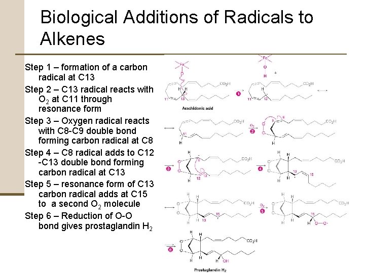 Biological Additions of Radicals to Alkenes Step 1 – formation of a carbon radical