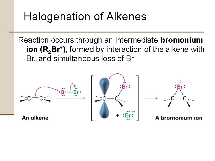 Halogenation of Alkenes Reaction occurs through an intermediate bromonium ion (R 2 Br+), formed