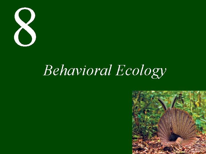 8 Behavioral Ecology 