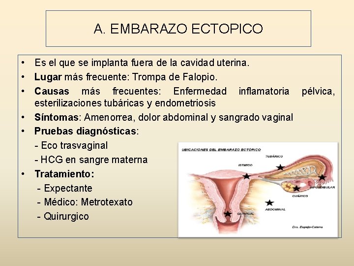 A. EMBARAZO ECTOPICO • Es el que se implanta fuera de la cavidad uterina.