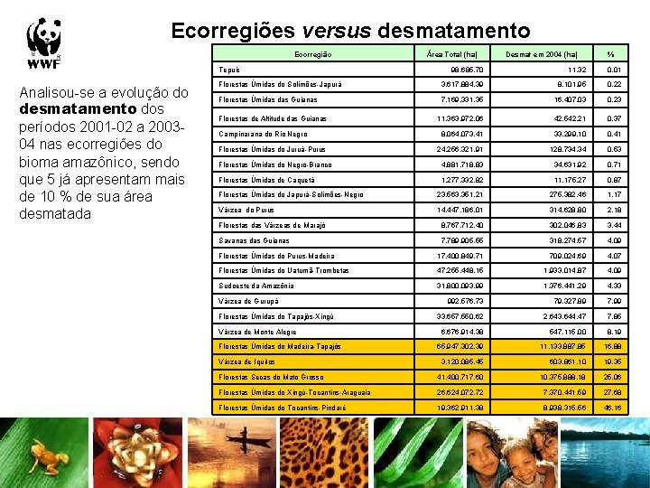 Ecorregiões versus desmatamento Ecorregião Tepuis Analisou-se a evolução do desmatamento dos períodos 2001 -02