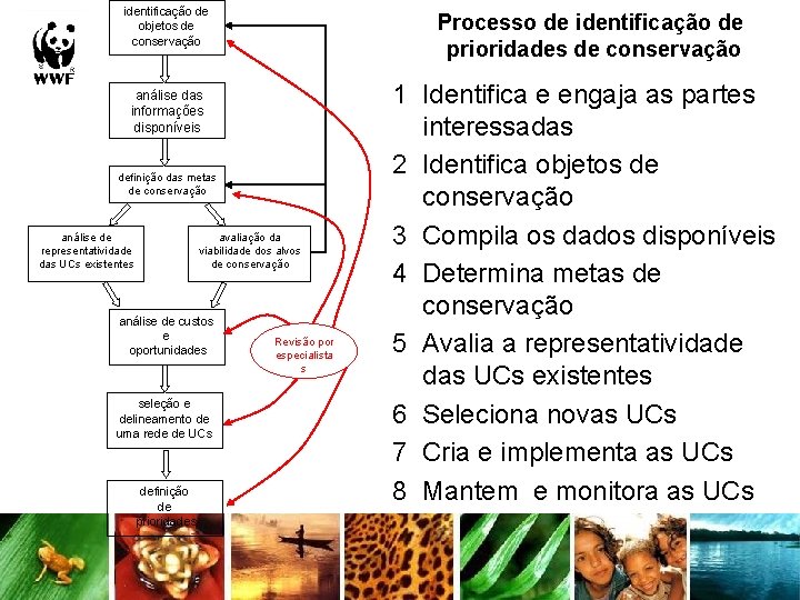 identificação de objetos de conservação Processo de identificação de prioridades de conservação análise das