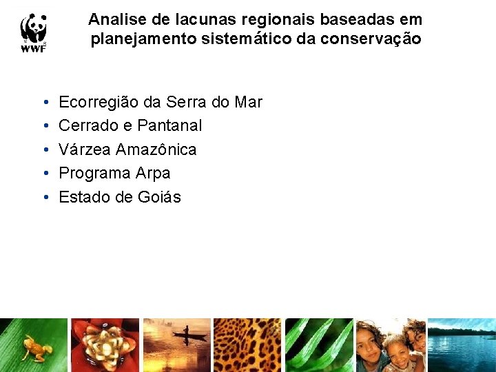 Analise de lacunas regionais baseadas em planejamento sistemático da conservação • • • Ecorregião Analise de lacunas regionais baseadas em planejamento sistemático da conservação • • • Ecorregião